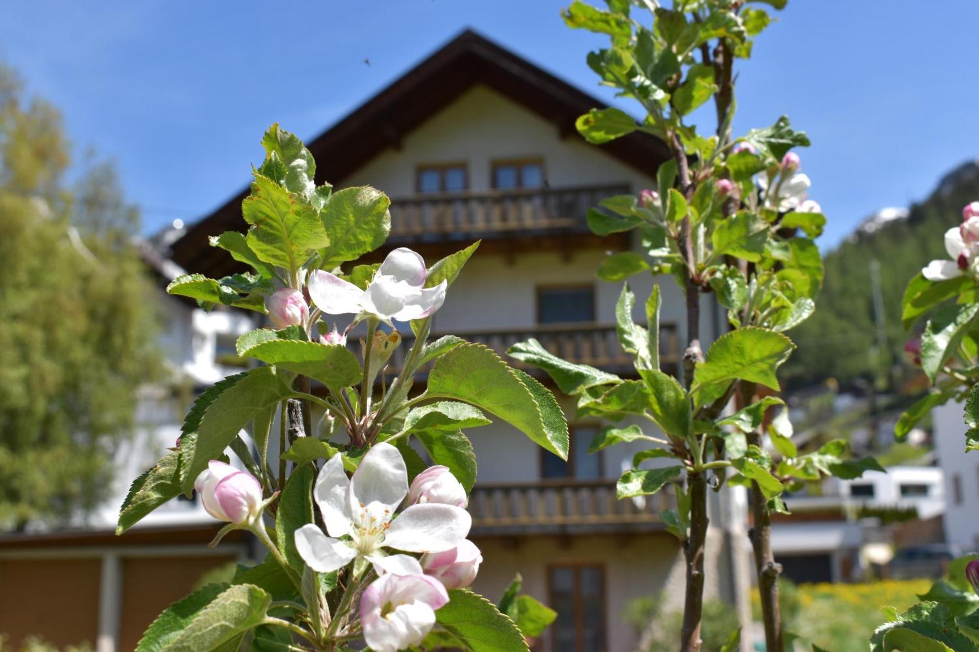 Bed and Breakfast Hirschstube Наудерс Екстер'єр фото